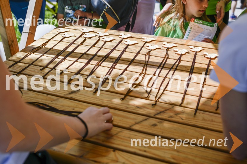 3. Bobrovo bicikliranje in vzpon na Boč