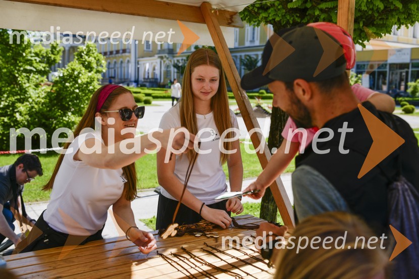 3. Bobrovo bicikliranje in vzpon na Boč