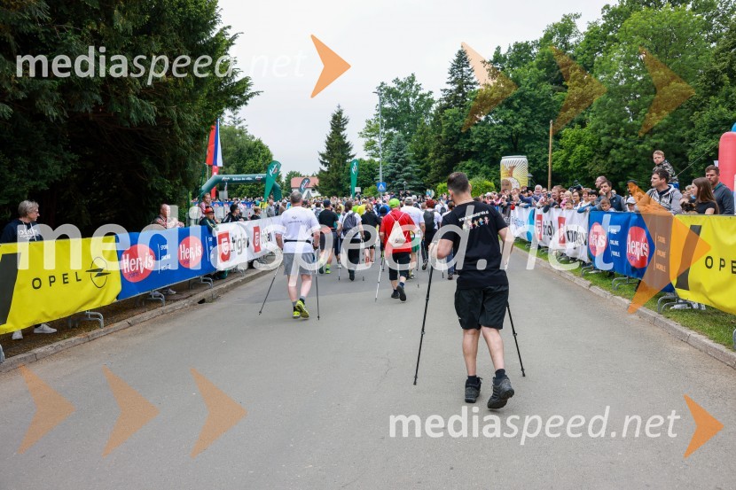 42. Maraton treh src, teki