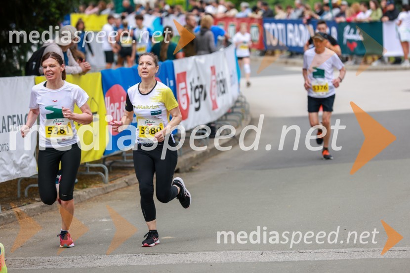 42. Maraton treh src, teki