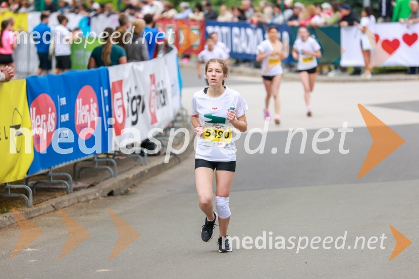 42. Maraton treh src, teki