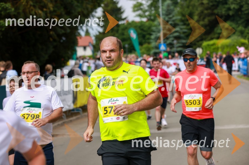 42. Maraton treh src, teki