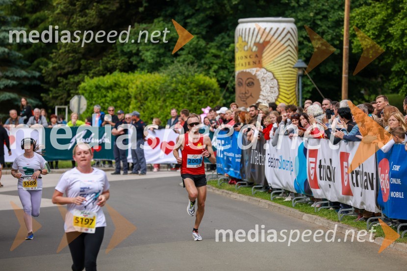 42. Maraton treh src, teki