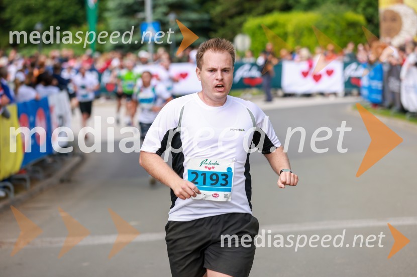 42. Maraton treh src, teki