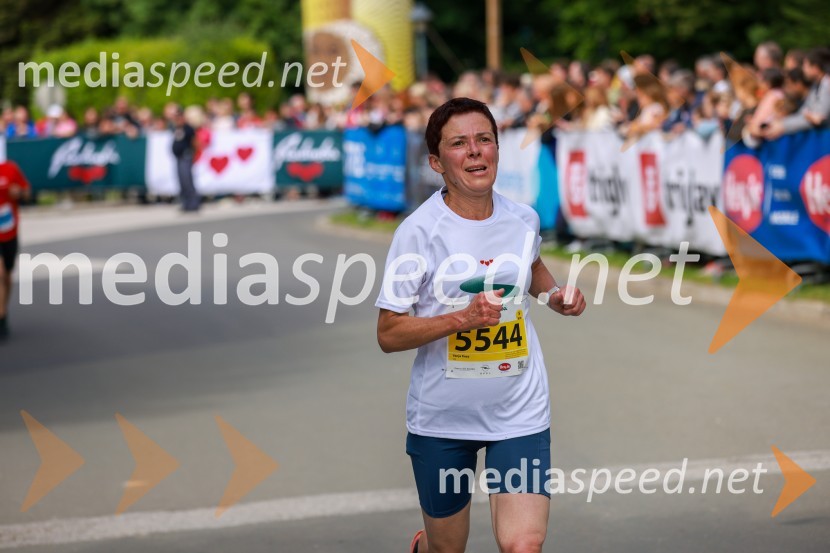 42. Maraton treh src, teki