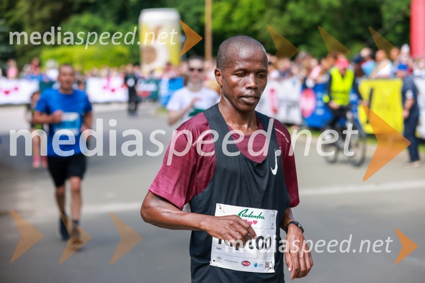 42. Maraton treh src, teki