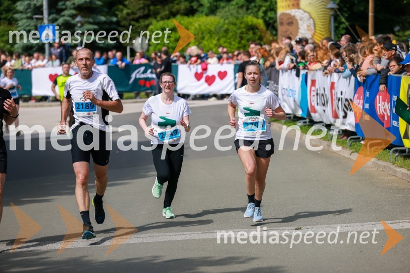 42. Maraton treh src, teki