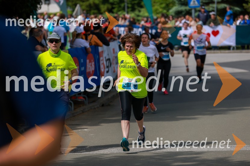 42. Maraton treh src, teki