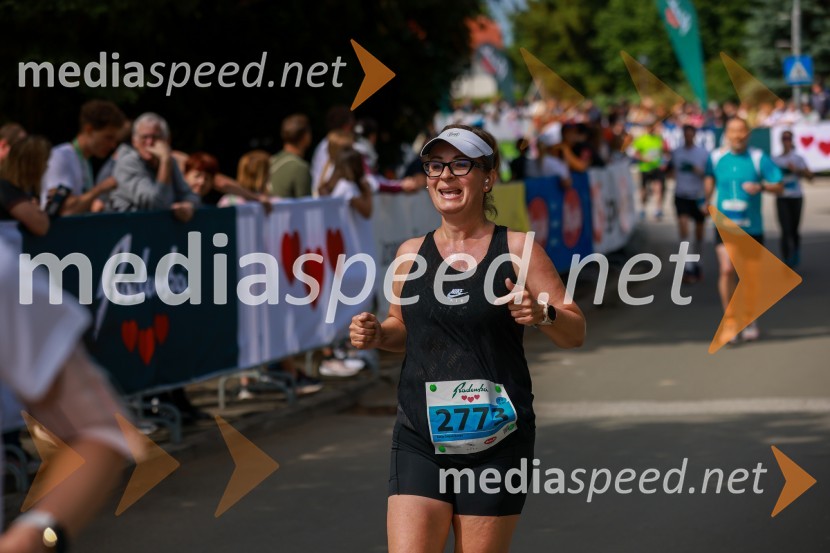 42. Maraton treh src, teki