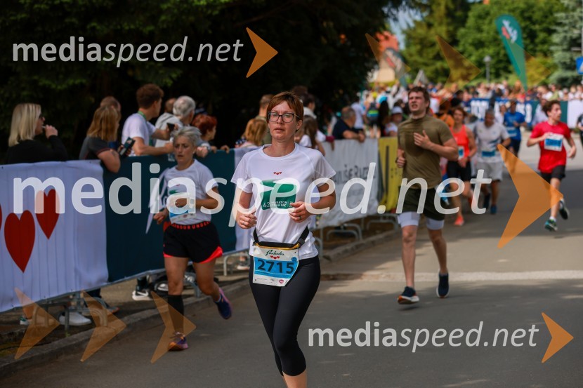 42. Maraton treh src, teki