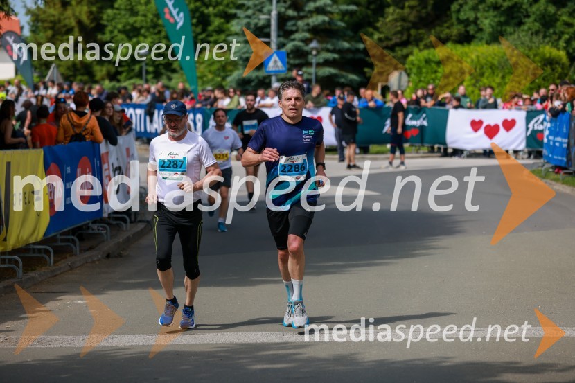 42. Maraton treh src, teki