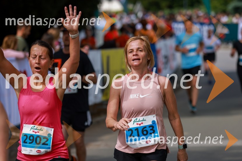 42. Maraton treh src, teki