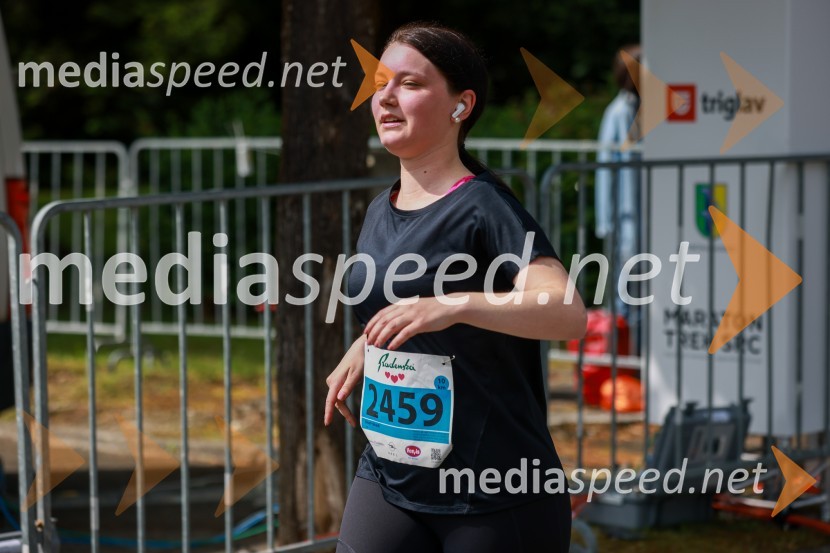 42. Maraton treh src, teki