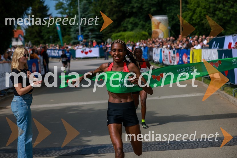 42. Maraton treh src, teki