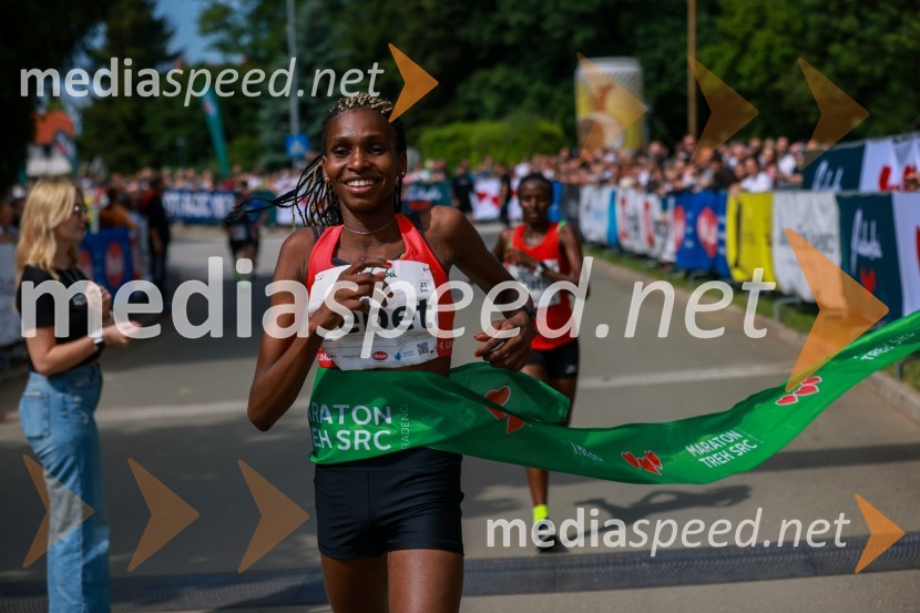 42. Maraton treh src, teki