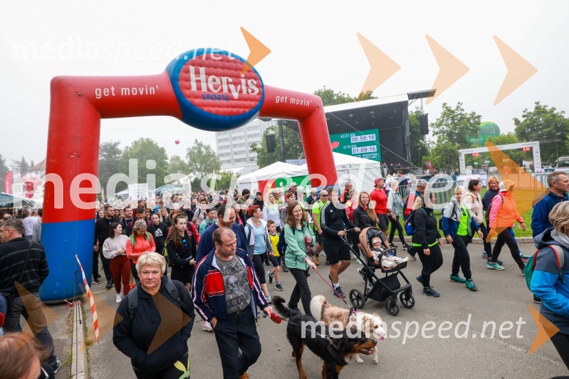 42. Maraton treh src, teki