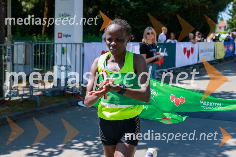 42. Maraton treh src, teki