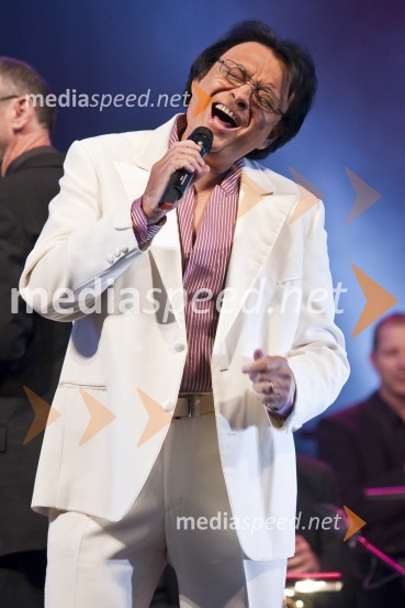 Oto Pestner, pevecElvis meets Ray, koncert