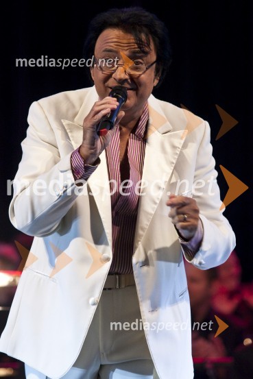 Oto Pestner, pevecElvis meets Ray, koncert