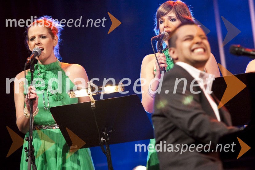 Koncert Elvis meets RayElvis meets Ray, koncert