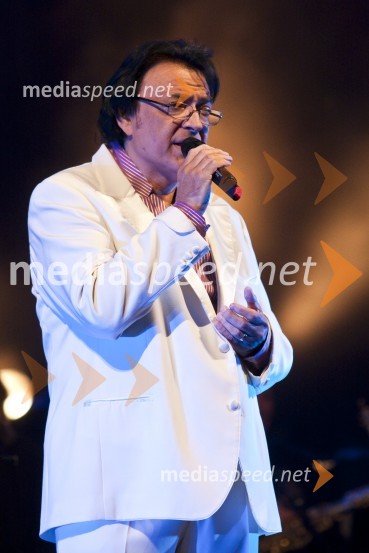 Oto Pestner, pevecElvis meets Ray, koncert