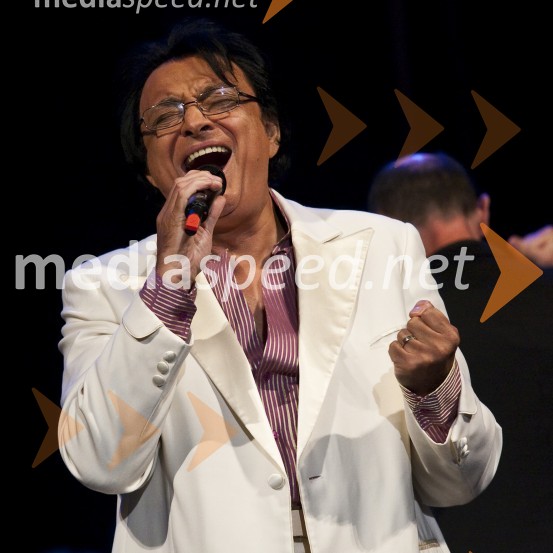 Oto Pestner, pevecElvis meets Ray, koncert