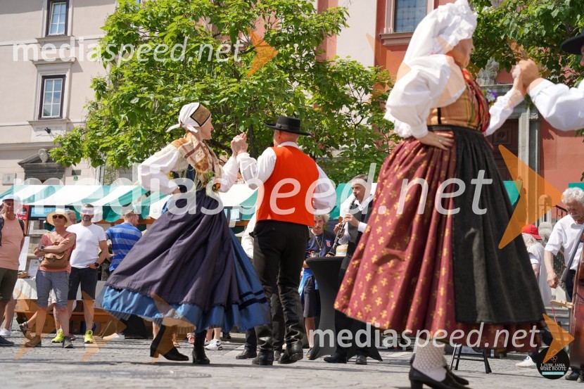 Prihaja poletna Ljubljanska vinska pot!