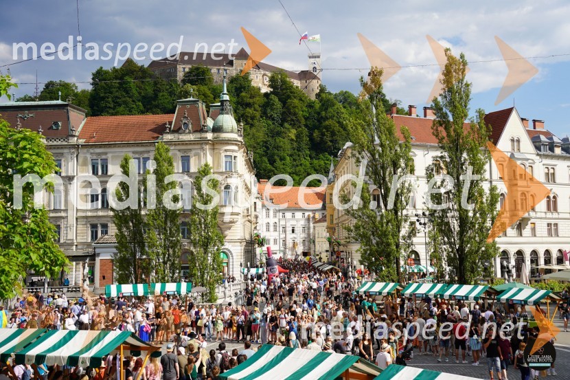 Prihaja poletna Ljubljanska vinska pot!