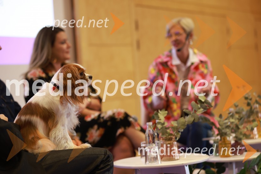 26. SKOJ, drugi dan konference