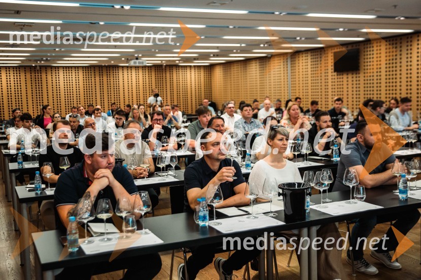 Jubilejni 10. Festvina