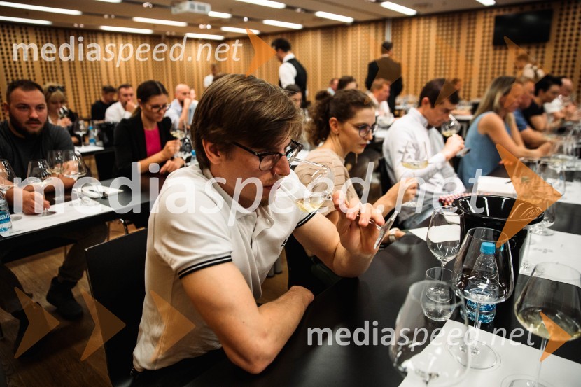 Jubilejni 10. Festvina