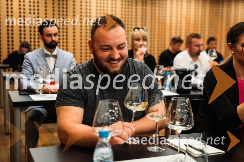 Jubilejni 10. Festvina