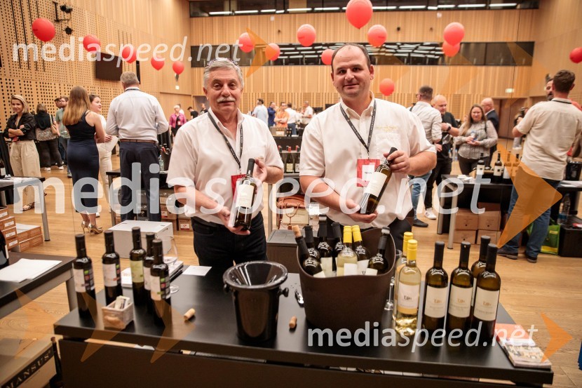 Jubilejni 10. Festvina