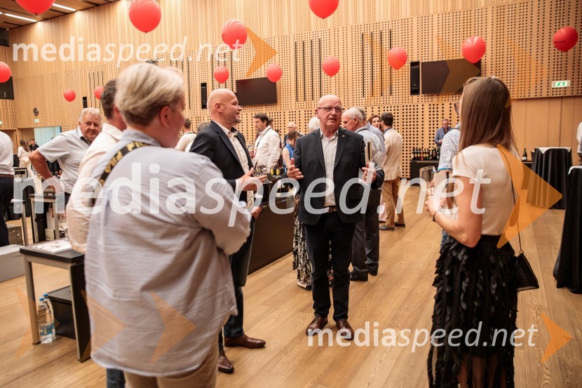 Jubilejni 10. Festvina