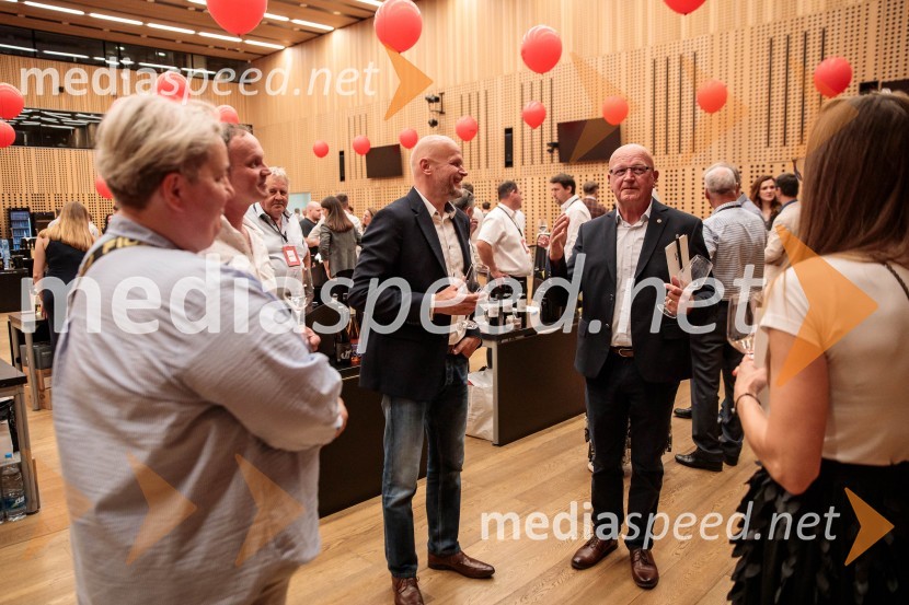 Jubilejni 10. Festvina