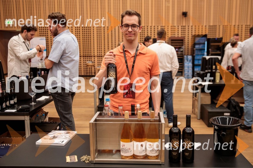 Jubilejni 10. Festvina