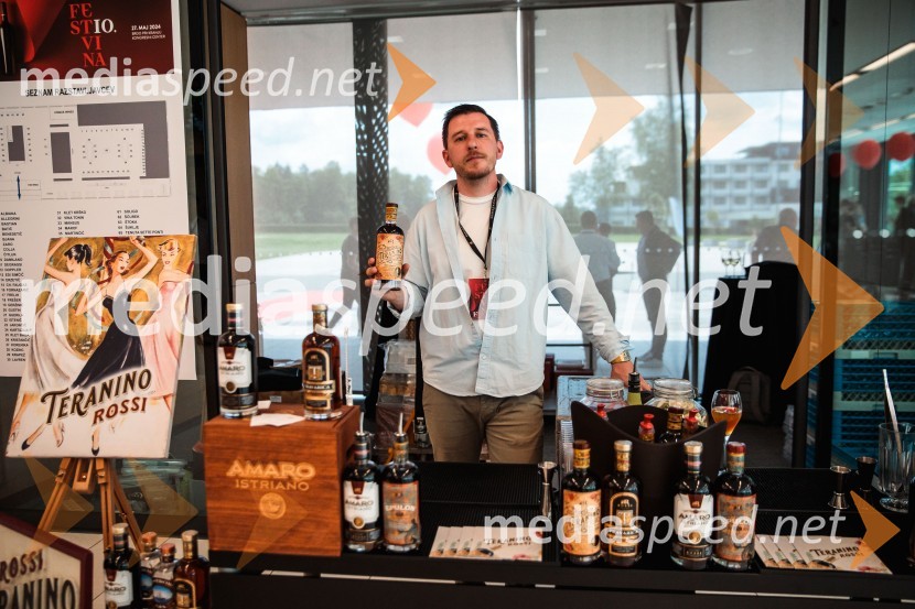 Jubilejni 10. Festvina