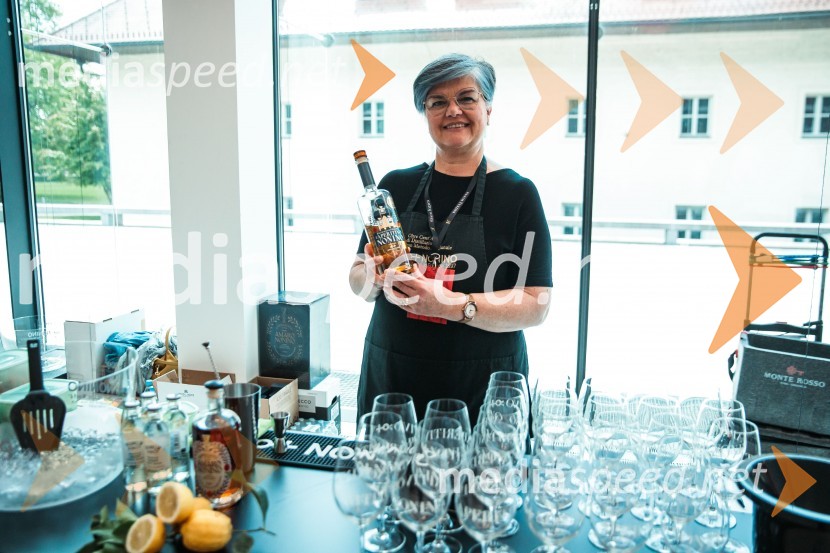 Jubilejni 10. Festvina