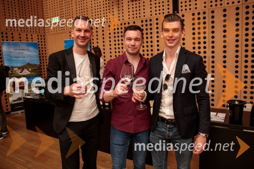 Jubilejni 10. Festvina