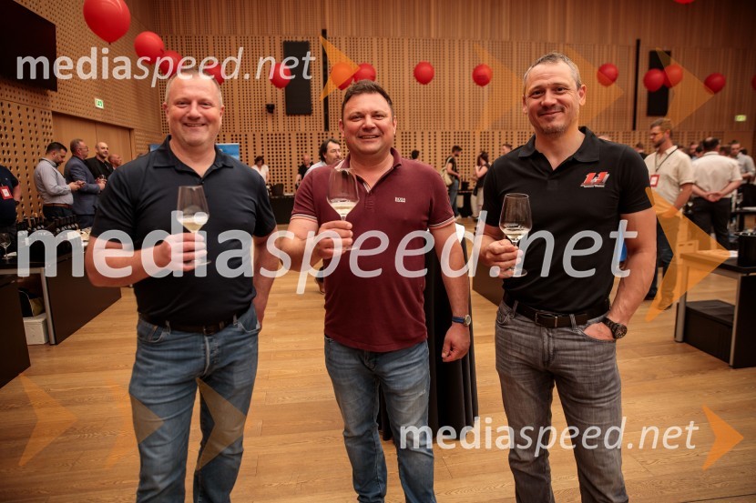 Jubilejni 10. Festvina