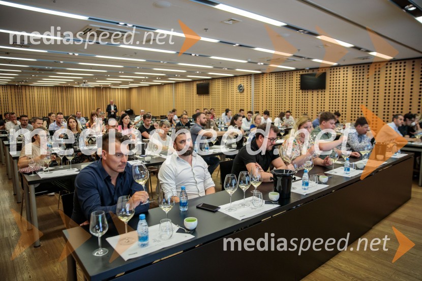 Jubilejni 10. Festvina