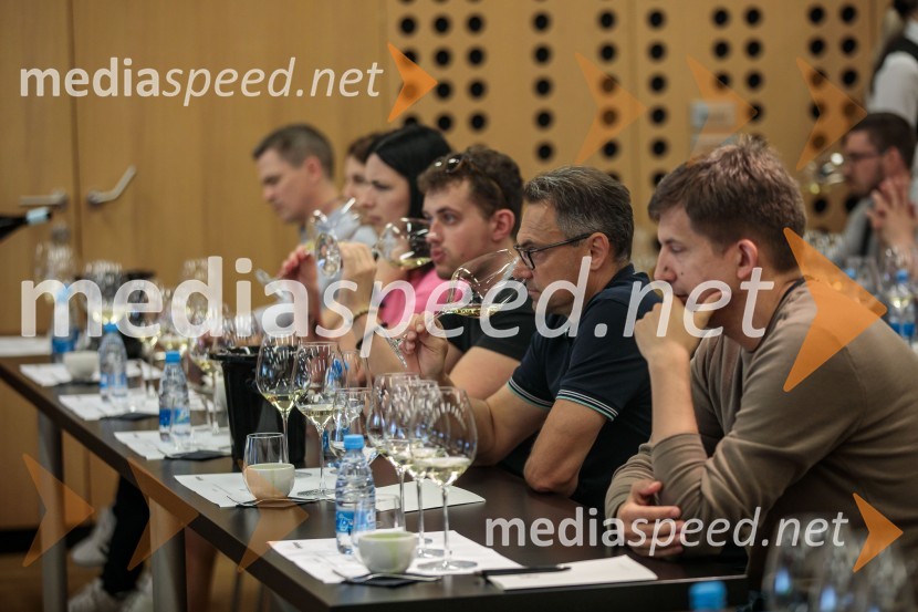 Jubilejni 10. Festvina