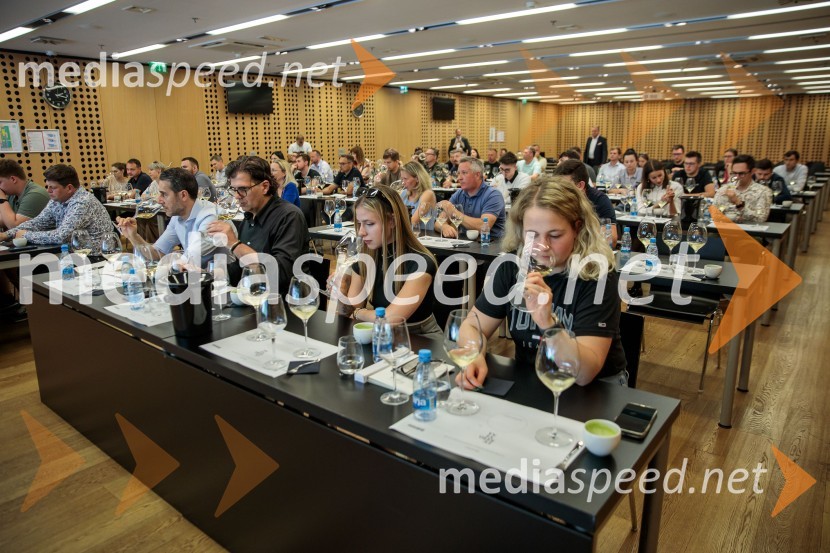 Jubilejni 10. Festvina