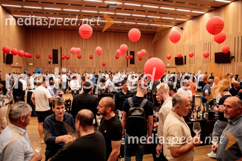 Jubilejni 10. Festvina