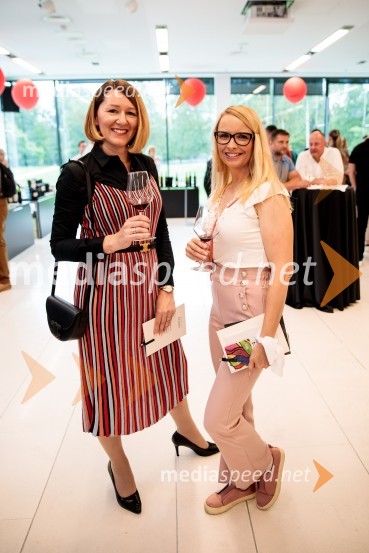 Jubilejni 10. Festvina