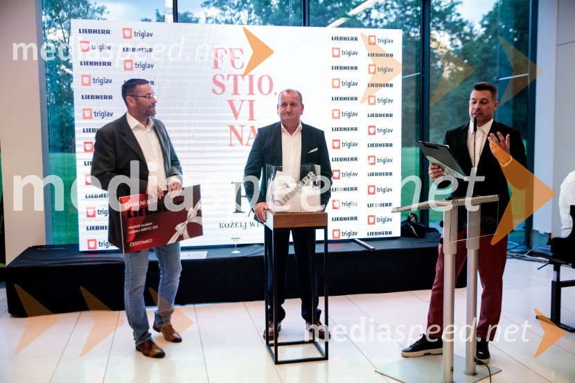  ... ;  Žiga FIšer, Britansko-slovenska gospodarska zbornica;  Klemen Bučan, radijski voditelj, stand-up komik, DJJubilejni 10. Festvina