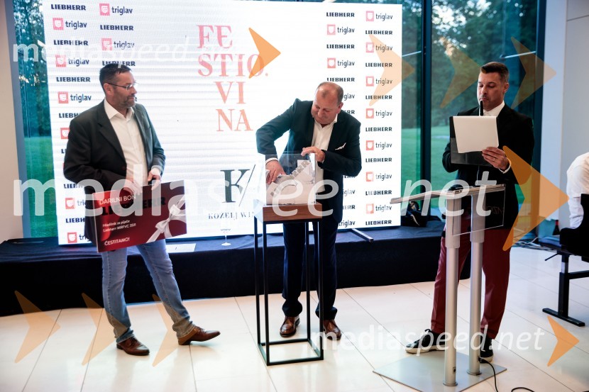  ... ; prof. dr. Janez Bešter, Fakulteta za elektrotehniko;  Klemen Bučan, radijski voditelj, stand-up komik, DJJubilejni 10. Festvina