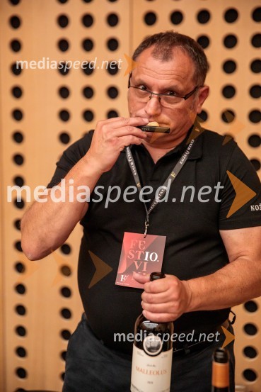 Jubilejni 10. Festvina