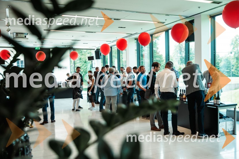 Jubilejni 10. Festvina