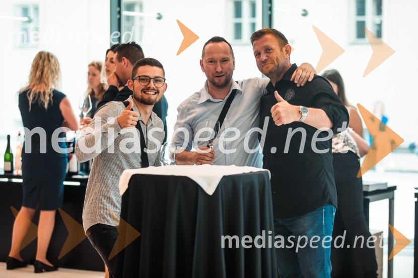 Jubilejni 10. Festvina